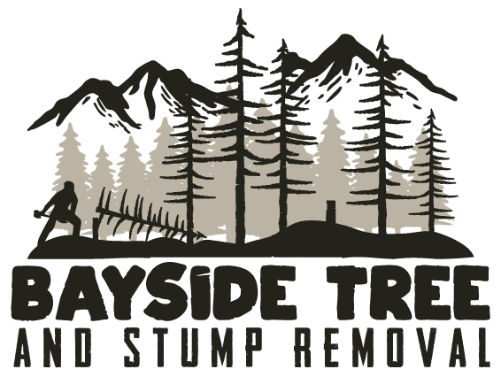 Tree removal apopka, Shady Side MD